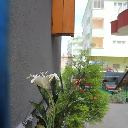 Appartement Homes And