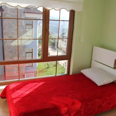 Homes And Trabzon
